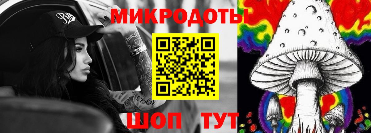 Братск  Галлюциногенные грибы Cubensis  Вход с VPN 